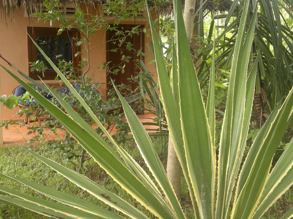 Botanica Hotel Kep Bagian luar foto