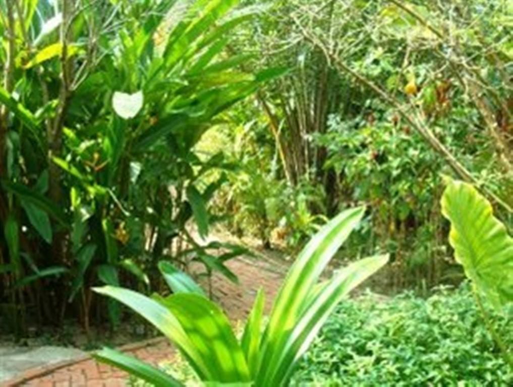 Botanica Hotel Kep Bagian luar foto